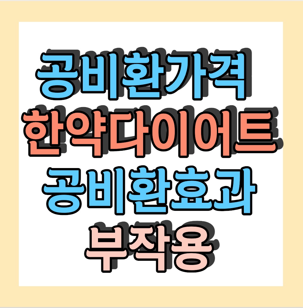 공비환 가격 &lt;한약다이어트&gt;