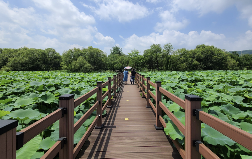 경안천 습지생태공원 이미지