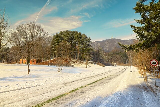마이코플라스마 폐렴