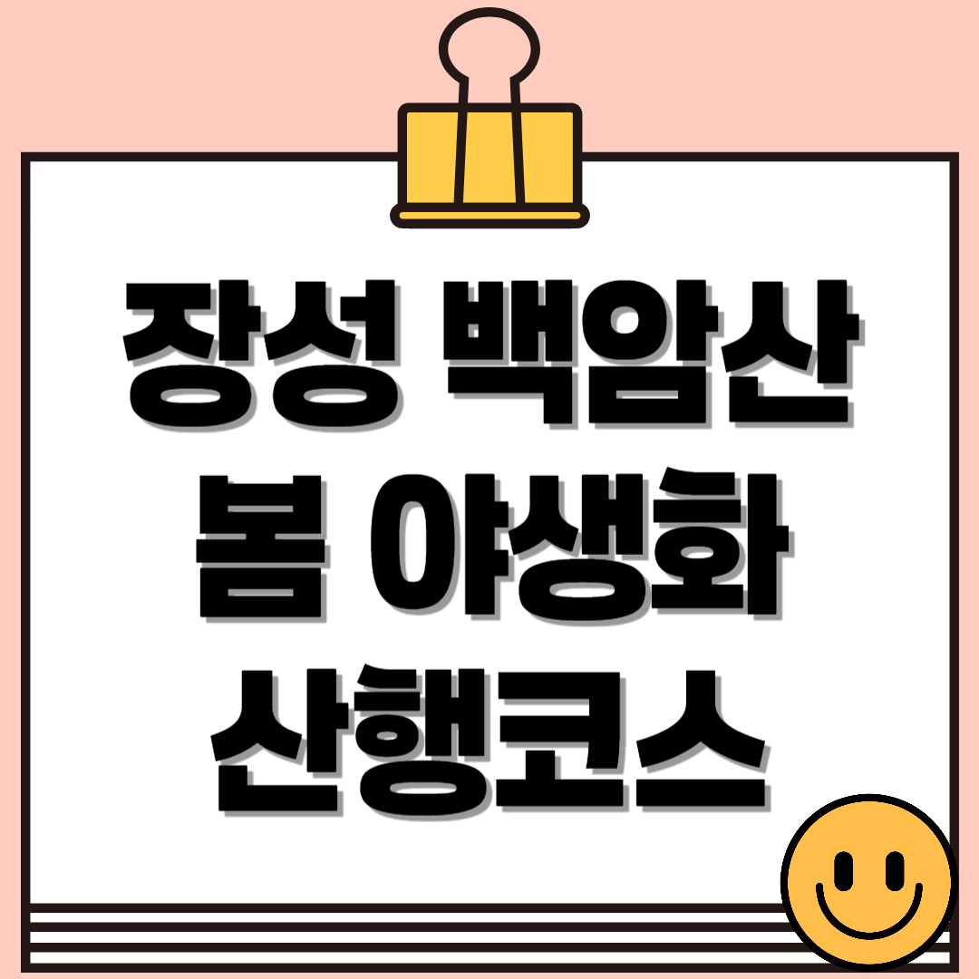 장성 백암산 봄 야생화 산행! 백양사, 약수암, 하산길 따라 만나는 봄꽃 명소 총정리✨