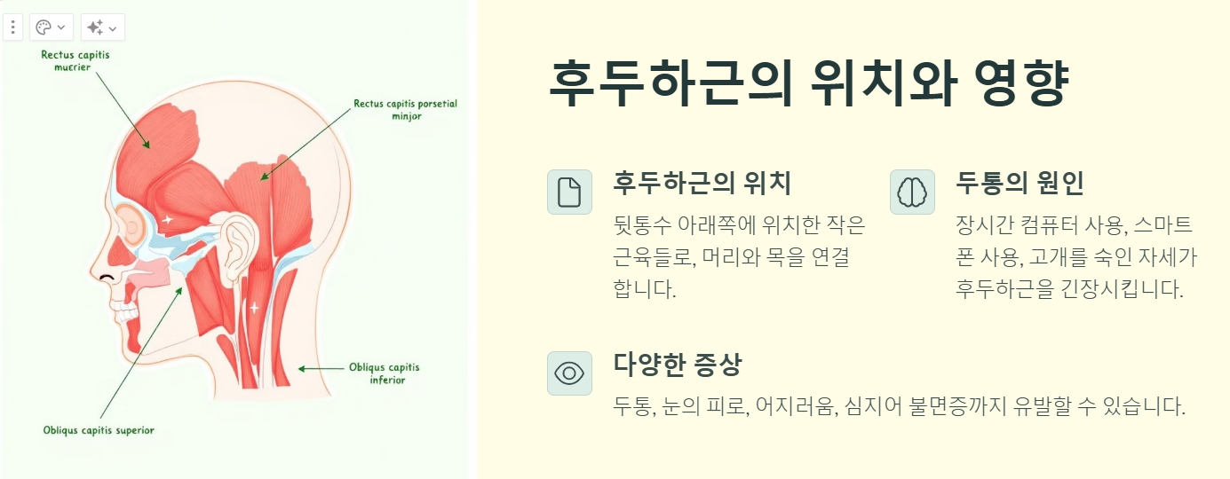 후두하근 위치와 영향 사진