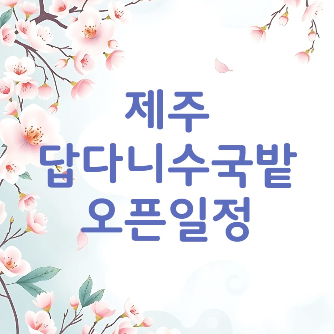 제주도 답다니 수국밭 오픈