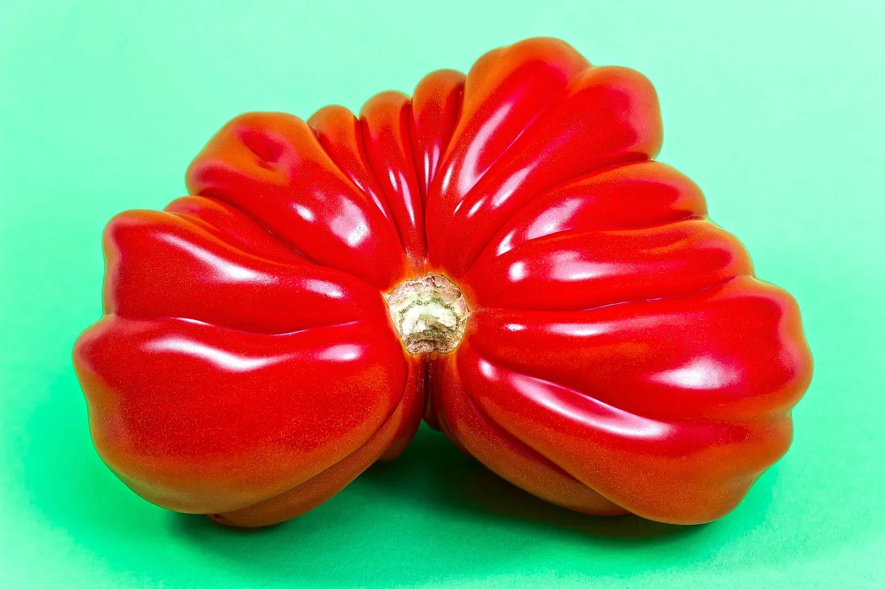 새도약기금 출범 핵심정리