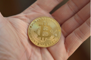 도지코인 지금이라도 사야하나요? 트럼프 와 머스크, 비트코인 과 도지코인