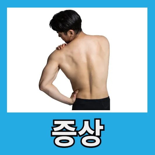 어깨 통증 증상