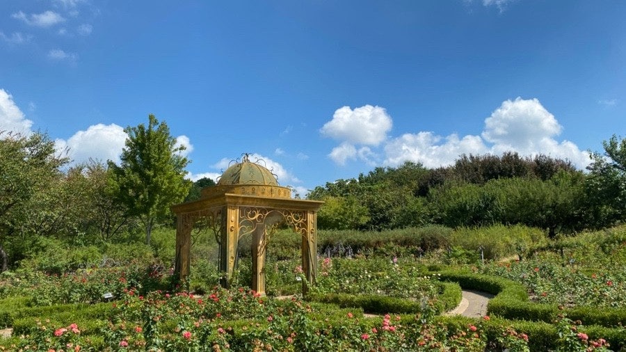 2025 대한민국 숙박세일 페스타, 대전 가을·겨울 여행 - 혜택 총정리