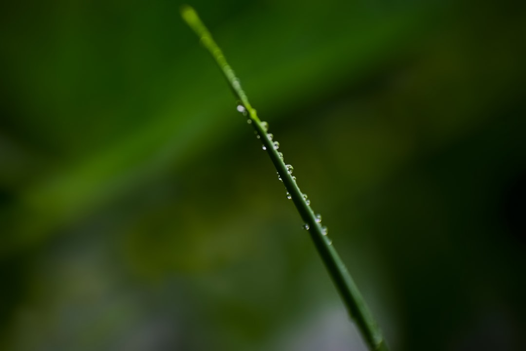 Deficiency