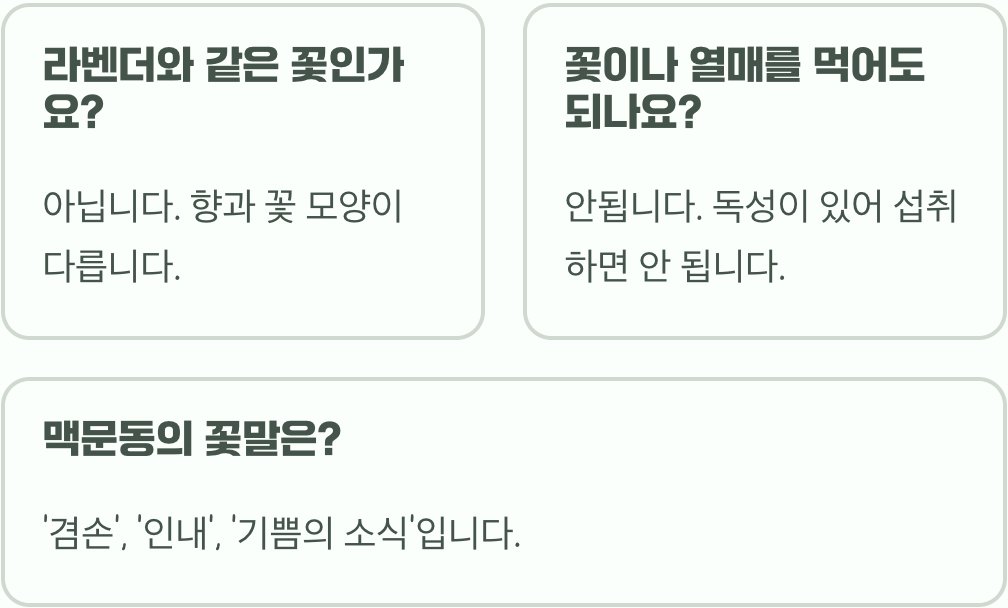 맥문동꽃 개화 시기&amp;#44; 7월~8월 한여름의 보랏빛 향연을 놓치지 마세요