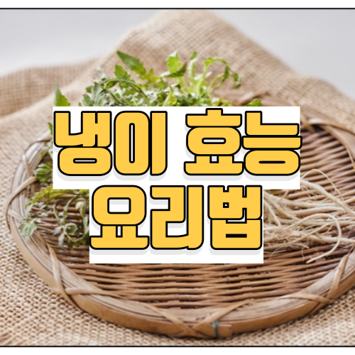 냉이 효능
