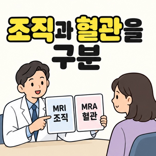 조직과 혈관을 구분 제목 아래 의료진이 MRI 조직과 MRA 혈관이라고 적힌 두 자료를 들고 환자에게 설명하는 모습