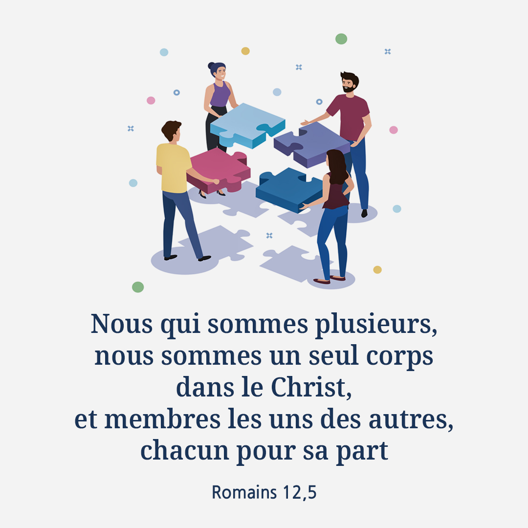 Nous qui sommes plusieurs, nous sommes un seul corps dans le Christ, et membres les uns des autres, chacun pour sa part. (Romains 12,5)