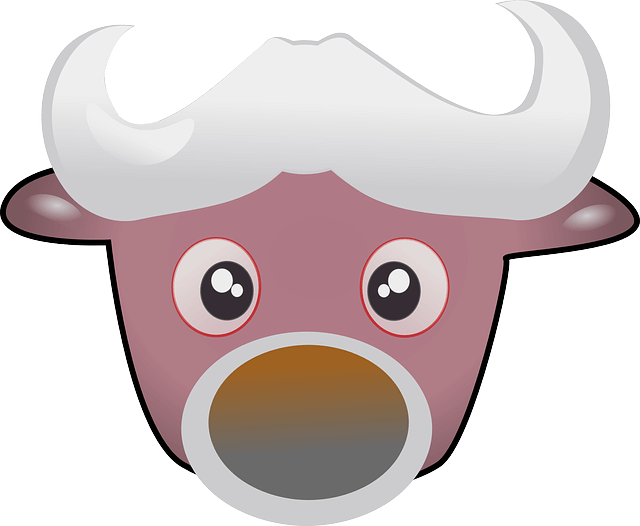 2023년 띠별 운세