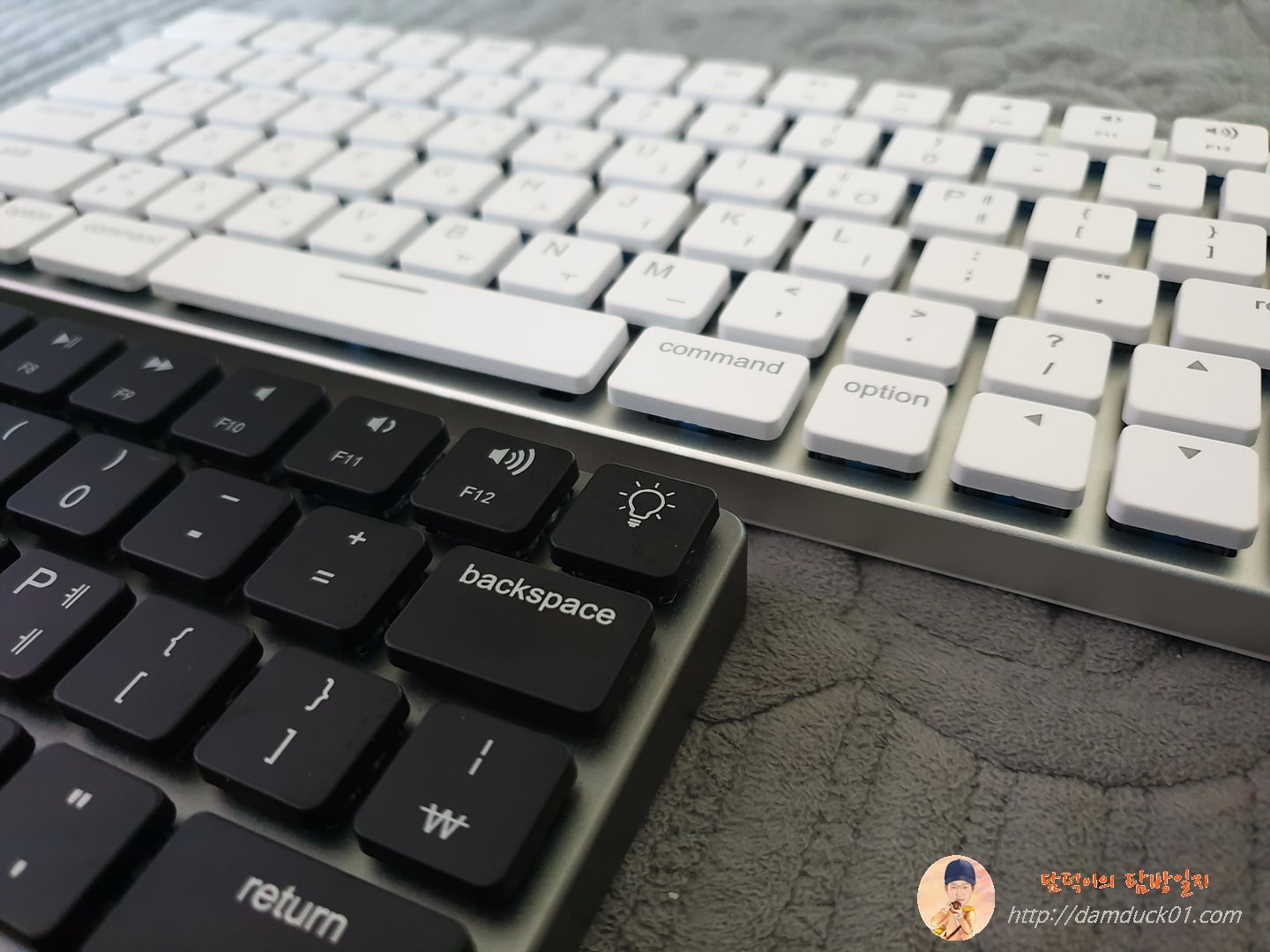 스페이스 그레이와 화이트 탭텍 비교 3