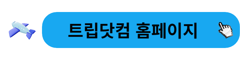 후쿠오카 항공권