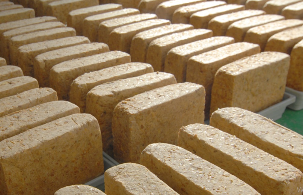 생생정보-국산콩-메주-태장고