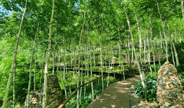 화담숲 전경