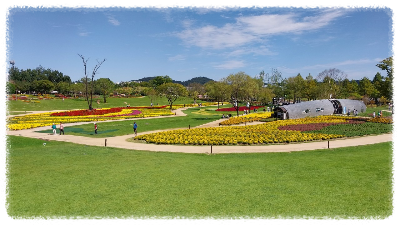 순천만 국가정원 추천 코스