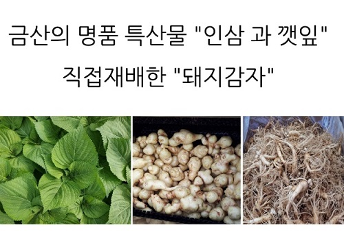 6시내고향-금산-깻잎양갱