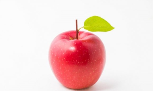 사과 사진