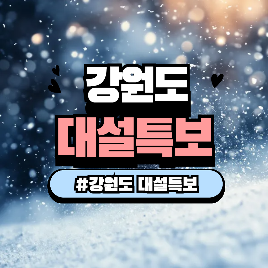강원도 대설특보