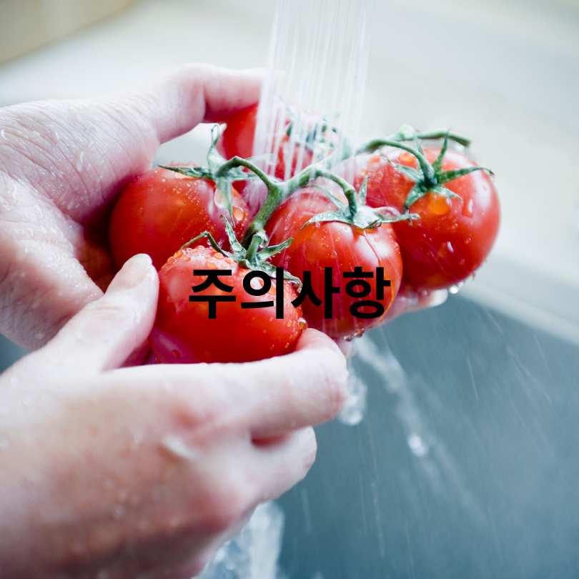 과일별 세척법 총정리
