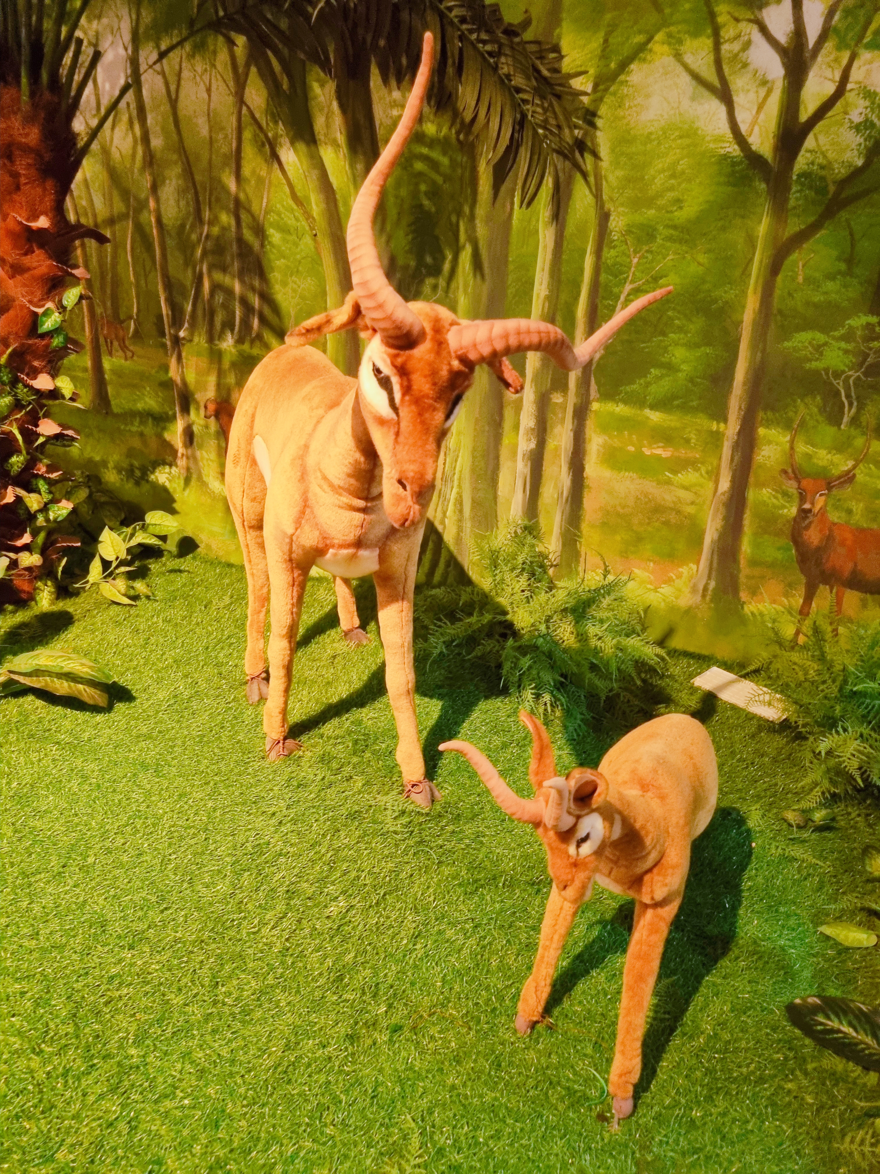 아프리카 박물관