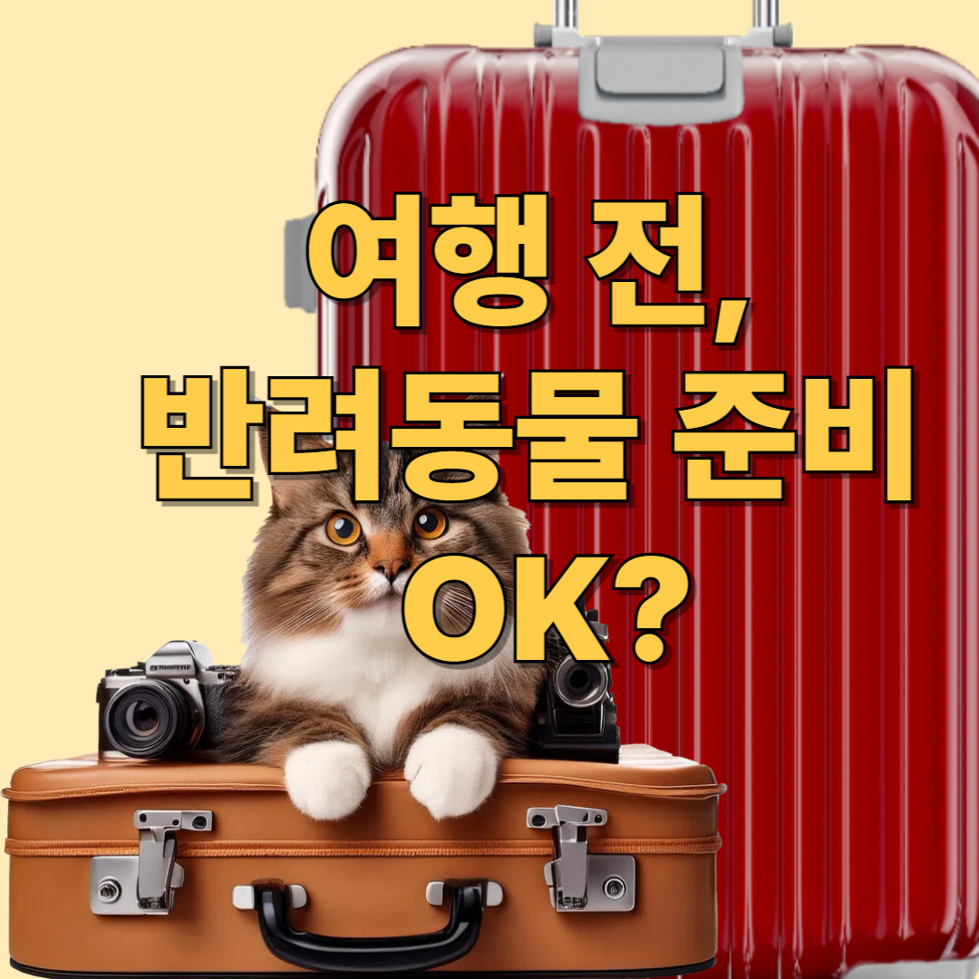 여행 전, 반려동물 준비 OK? 🐶🐾