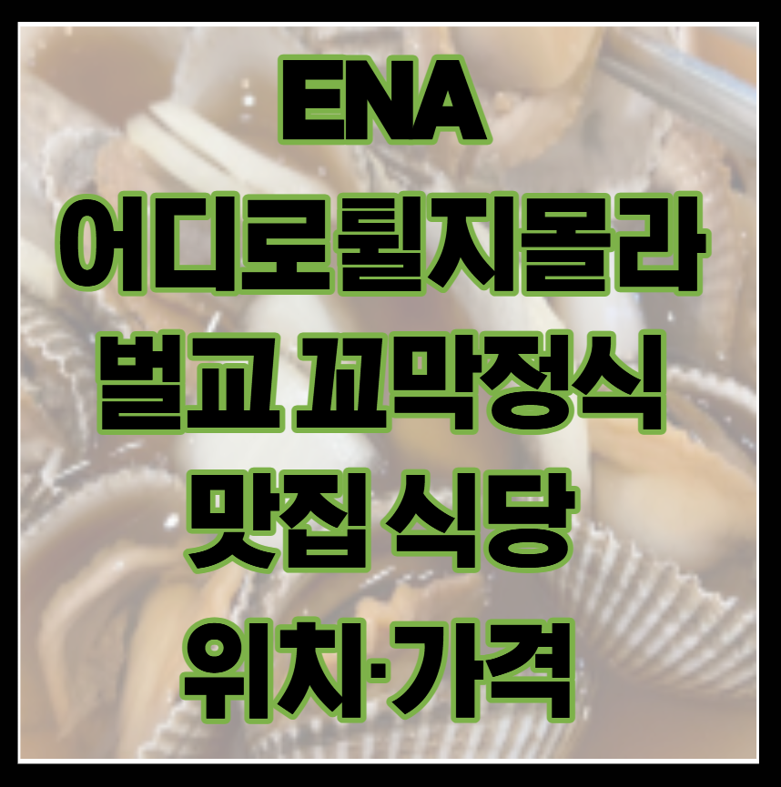 ENA 어디로튈지몰라 벌교 꼬막정식 맛집 식당 위치·가격 총정리