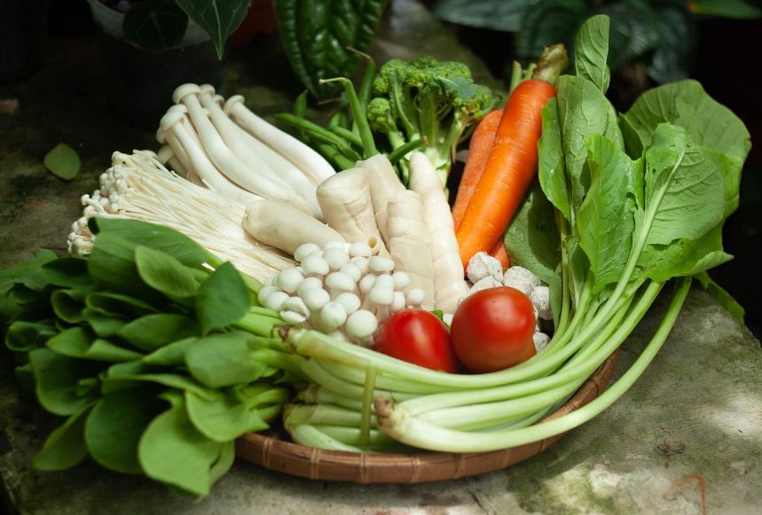 채식주의자 건강관리법 필수영양소 섭취전략