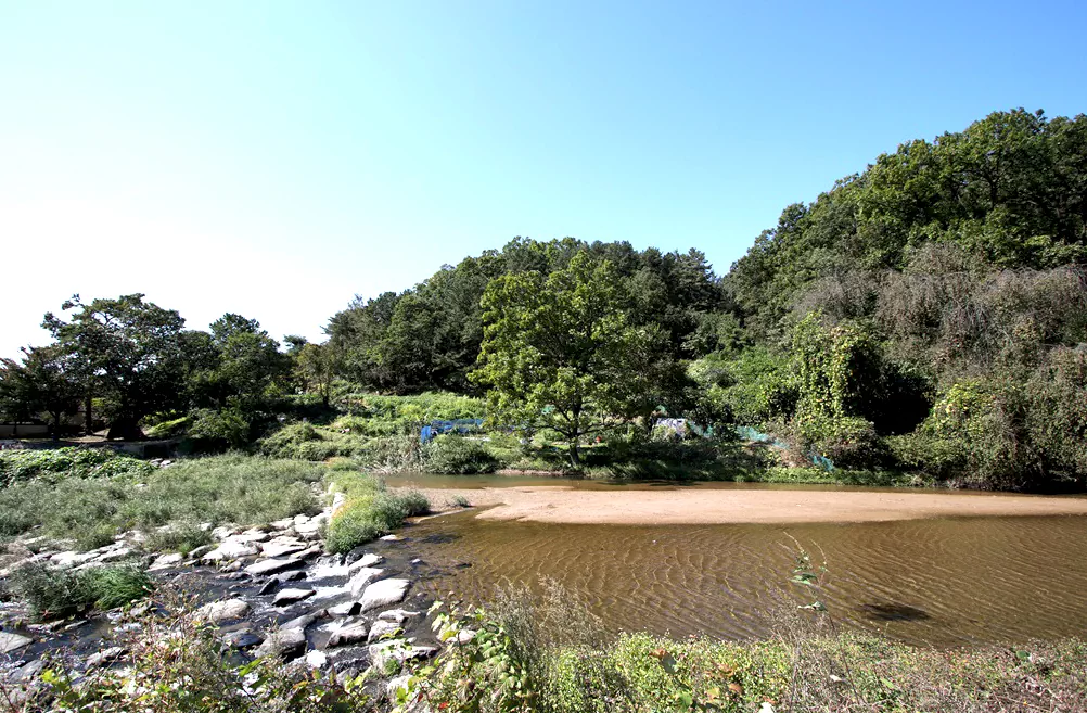 양평 물소리길 1코스 하천 풍경 사진입니다.