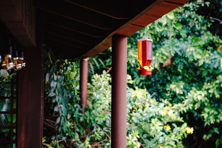 구글 허밍버드 알고리즘 업데이트 사항(2022년) 대표 이미지