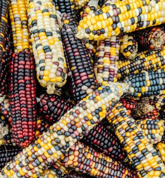 황반변성에 좋은 음식 영양제 식단