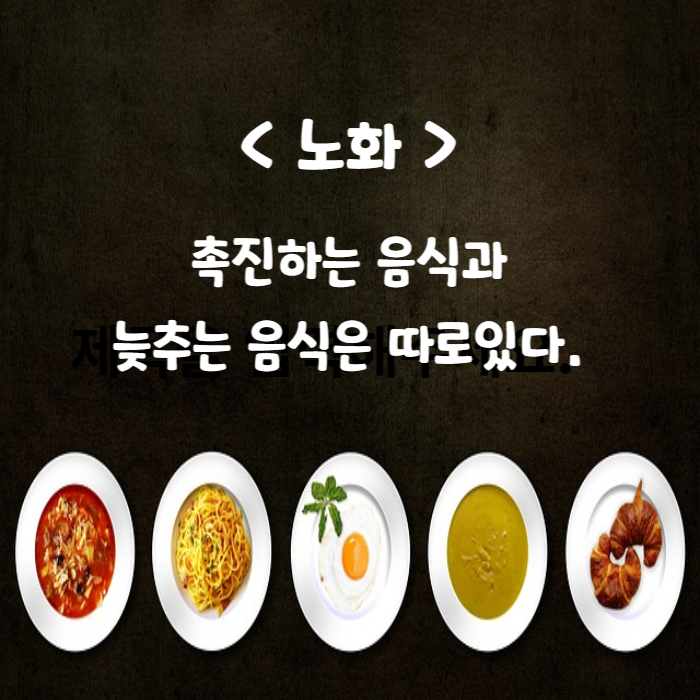 노화관련음식