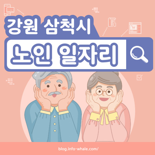 삼척시 노인일자리 구직