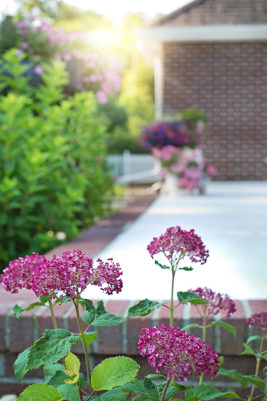 국민 연금 환급금