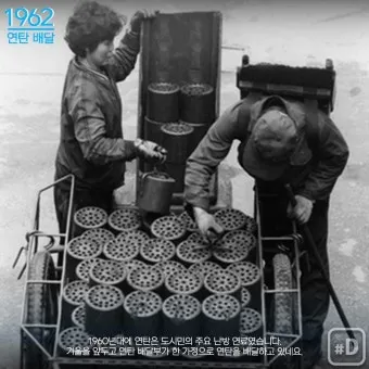 겨울 월동 준비 보온자재 덮개 동해 예방 물주기 조절_16