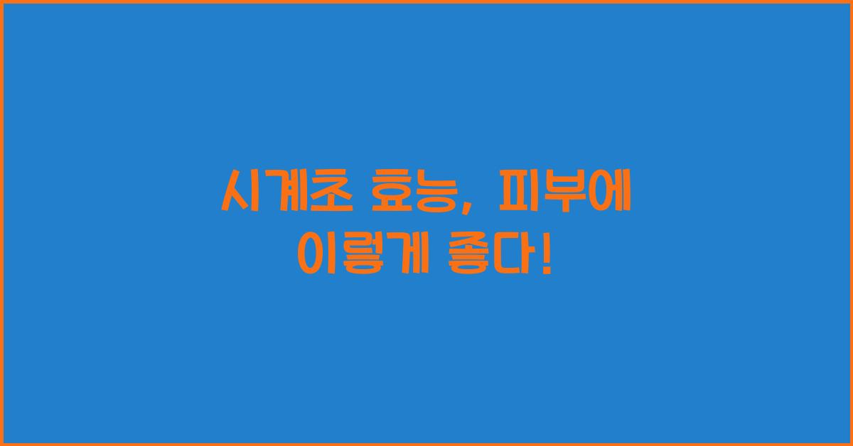 시계초 효능