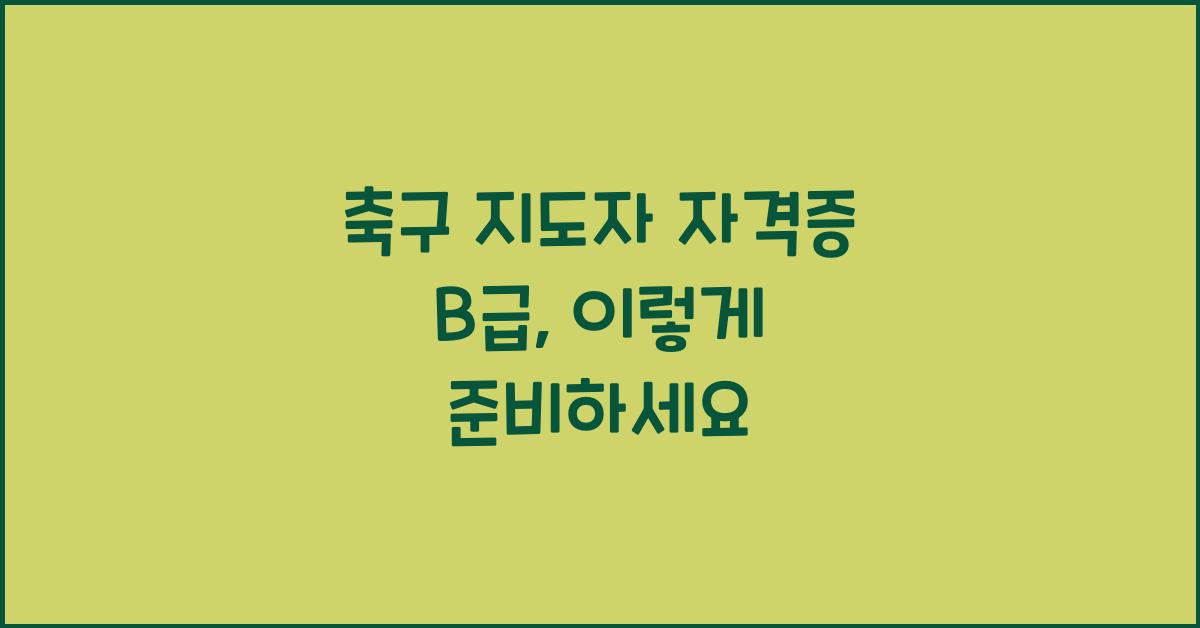 축구 지도자 자격증 b급