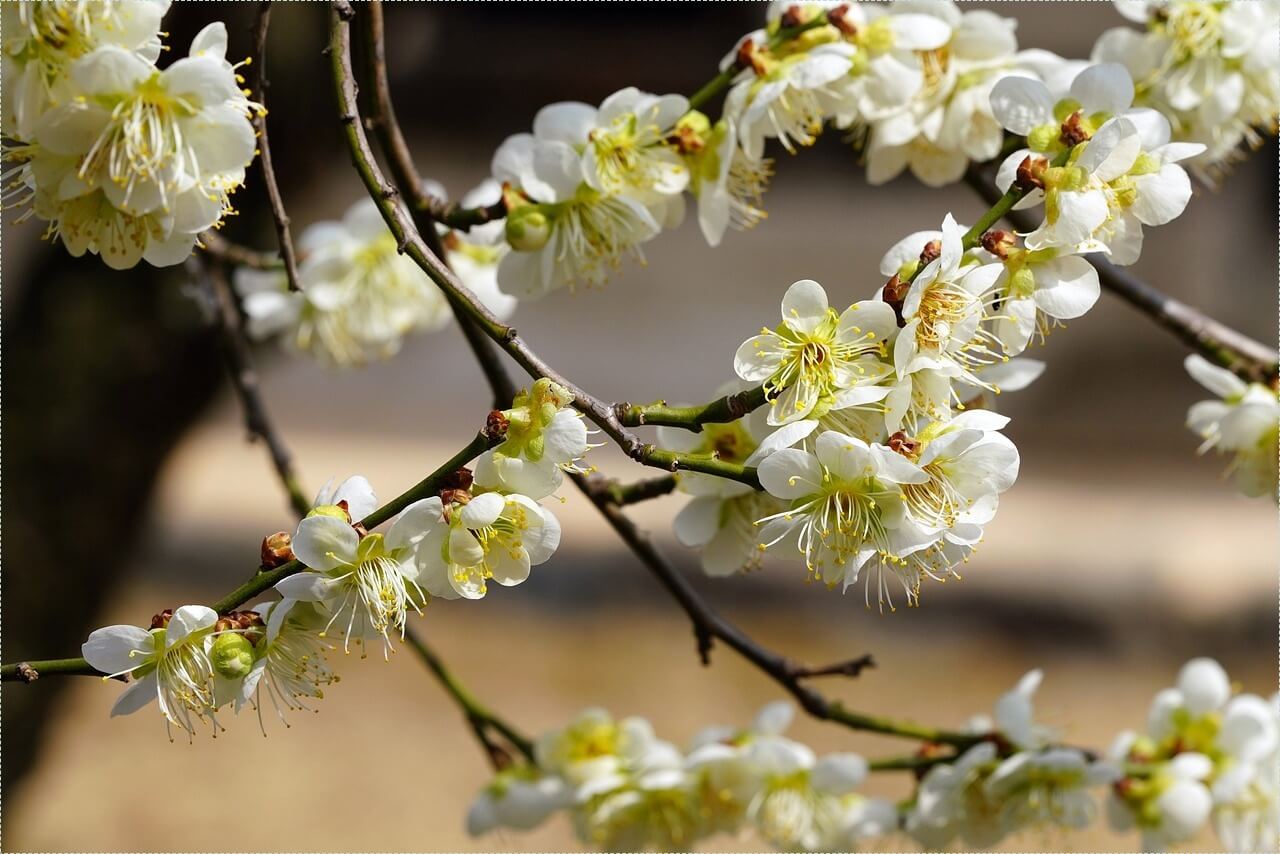 1억 은행 예금이자