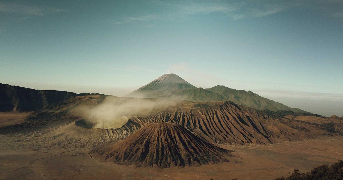 young adult happily reviewing financial documents and a laptop showing government support