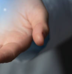 알부민 많은 음식