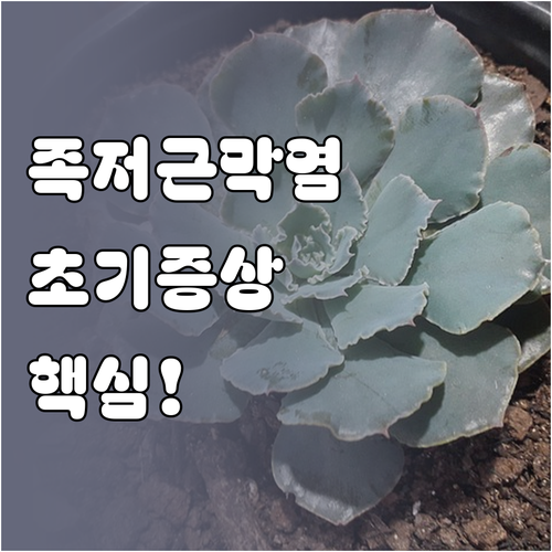 족저근막염 초기증상 특징과 치료 방법..