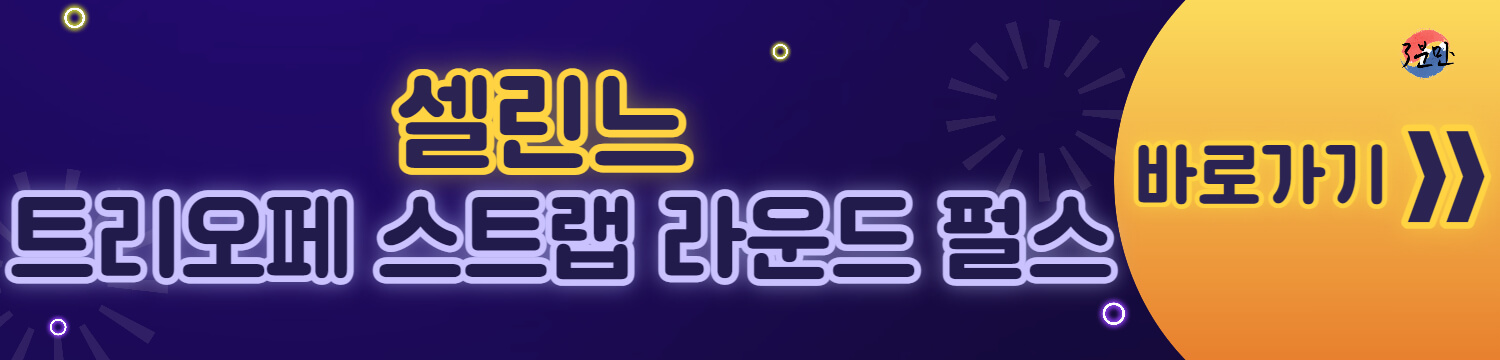 셀린느-바로가기