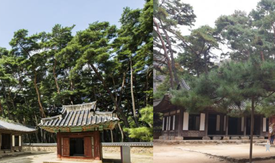 영월 청령포 단종 유배지