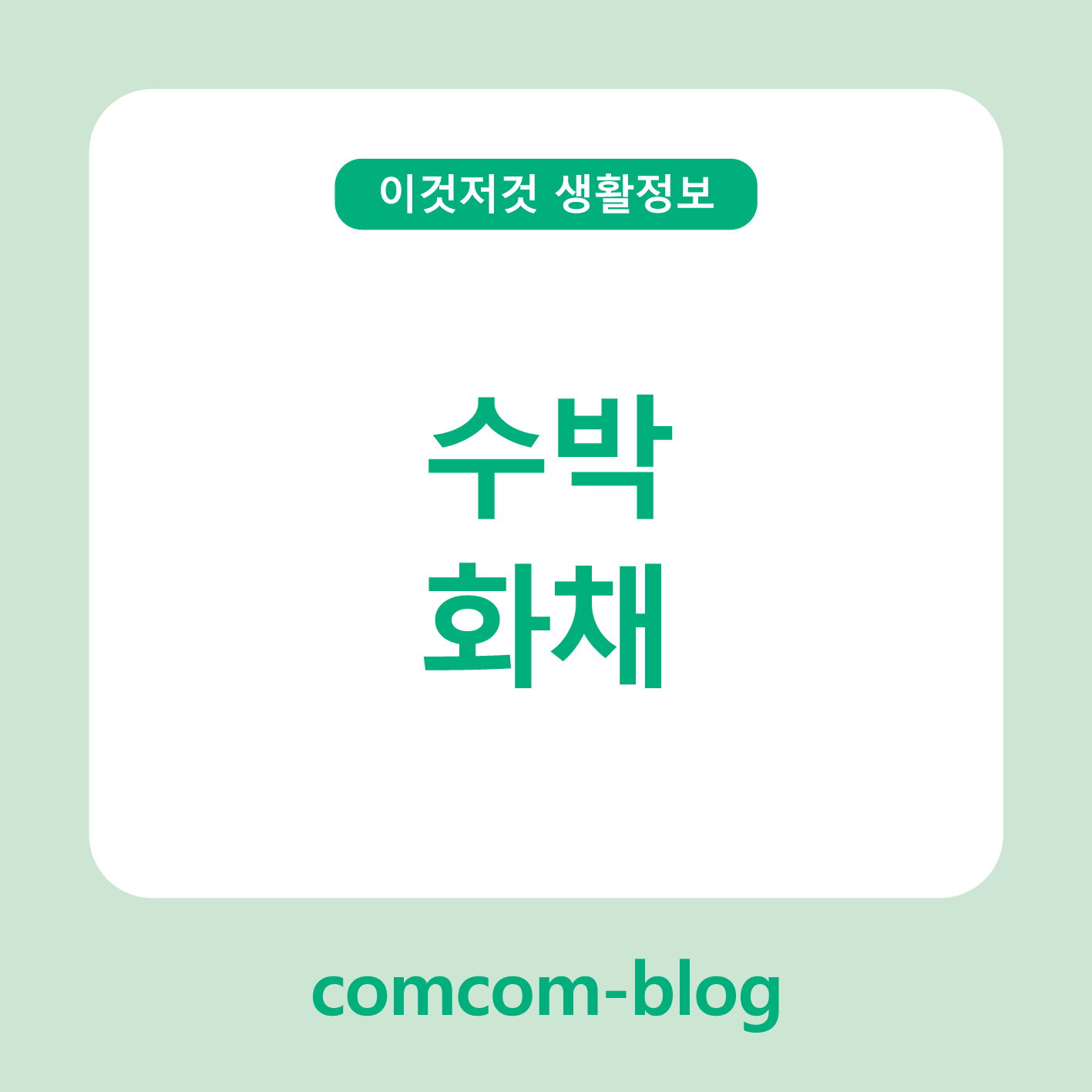 🍉 수박화채로 한여름 더위를 이기자! 🍹✨