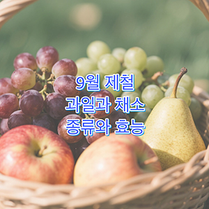9월 제철 과일, 채소 종류와 영양소, 효능 정리