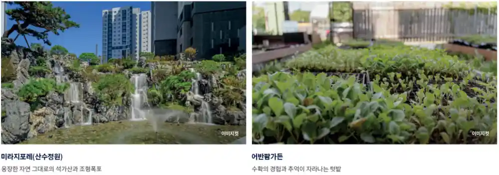 조경