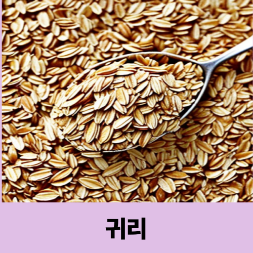 운동 효과 2배