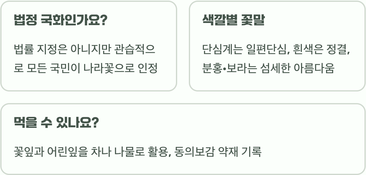 무궁화 꽃말 영원함과 끈기를 담아낸 전통적 의미와 문화적 해석