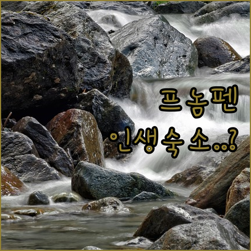 캄보디아 프놈펜 여행 숙소 5곳 객실..